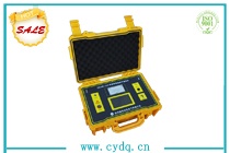 CYJW-750 桿塔絕緣子智能測(cè)試儀